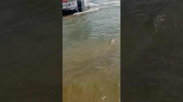 Катание в открытое море смотреть онлайн