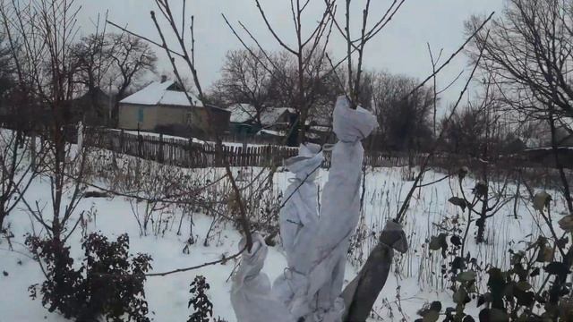 АЙС ПИЧ. ЗИМА 2021 смотреть онлайн