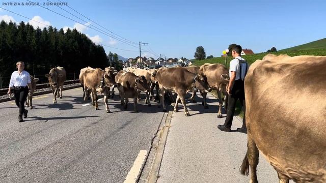 Öberefahre mit viel Zauern, Jodel und Singen | Alpabzug Appenzell Lehn Meistersrüte смотреть онлайн