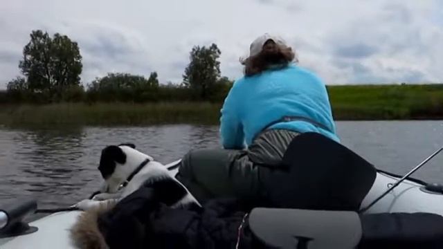 Турбаза Ивушка июнь2016 смотреть онлайн