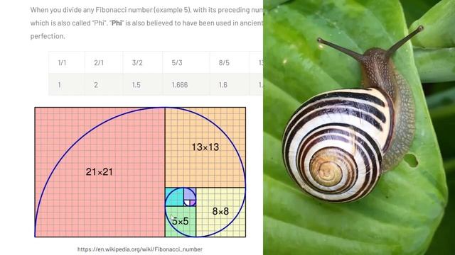 CAN you make a FIBONACCI APP in C#?? смотреть онлайн