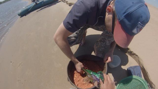 Сход Сазана...Амурская коса. смотреть онлайн