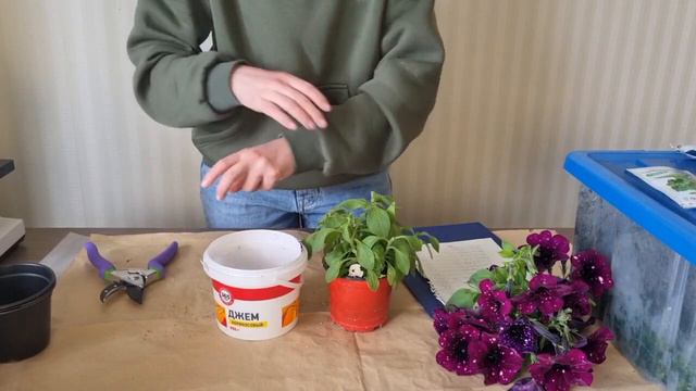 Обрезка петунии. Не забываем и не жалеем смотреть онлайн