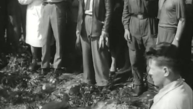 Им покоряется небо