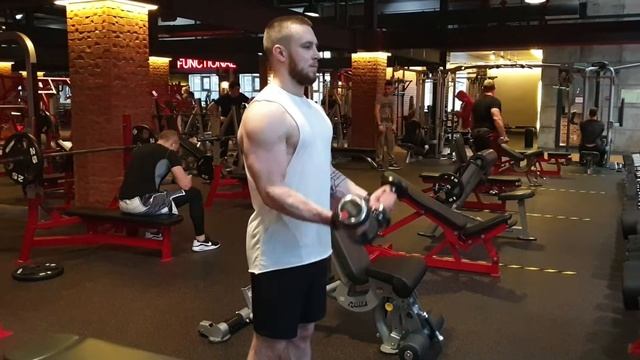 Сгибания рук с гантелями стоя смотреть онлайн