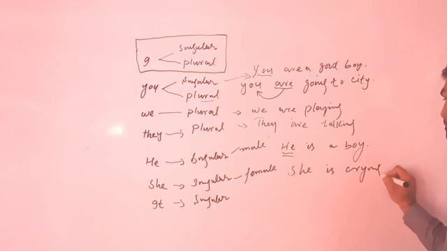 Why We Don't Use s,es with Verb when Subject is "I" in Present Indefinite Tense смотреть онлайн