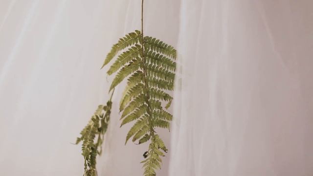 Фотосессия в будуарных платьях смотреть онлайн