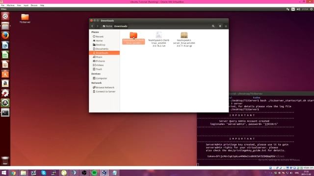 TeamSpeak3 Server and Client Setup on Ubuntu смотреть онлайн