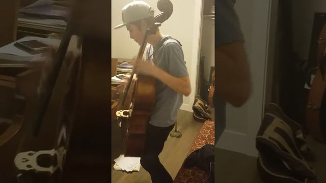 Standing cello- Julie O смотреть онлайн