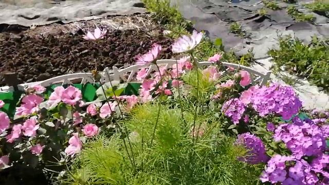 Обжигаем доски для тротуара смотреть онлайн