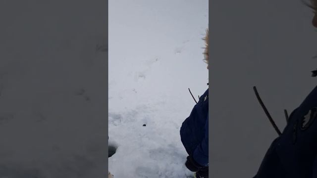 Зимняя рыбалка. Лунки часть 3. И дядя рыбак🐠 мы узнаем все о том,как ловится рыбка подо льдом☃️❄ смотреть онлайн