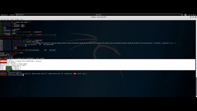 Understanding Buffer Overflows & Exploitation Tutorial смотреть онлайн