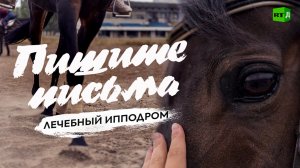 Пишите письма. Лечебный ипподром