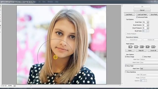 How To Use The Liquify Tool In Photoshop Cs6 In Hindi | Photo Swap