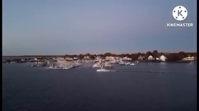 мы родились в сибири//пост №1//обзор канала