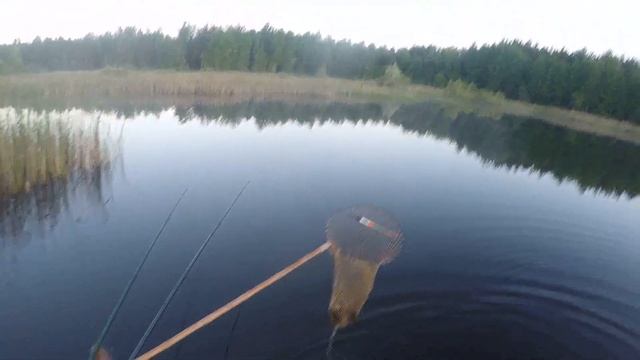 Рыбалка в Беларуси Ловля Линя на поплавочную удочку. Хороший клев, отличный улов и прекрасная погод смотреть онлайн