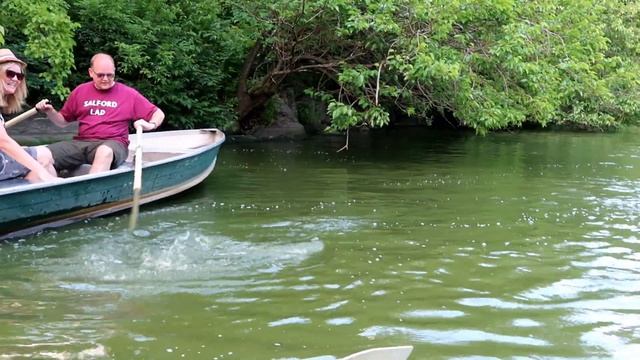 New York City Library / Central Park / June 2019 / Day 3 смотреть онлайн