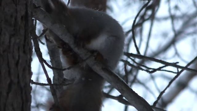Panasonic hc-v750 test 50 fps - part 2 смотреть онлайн