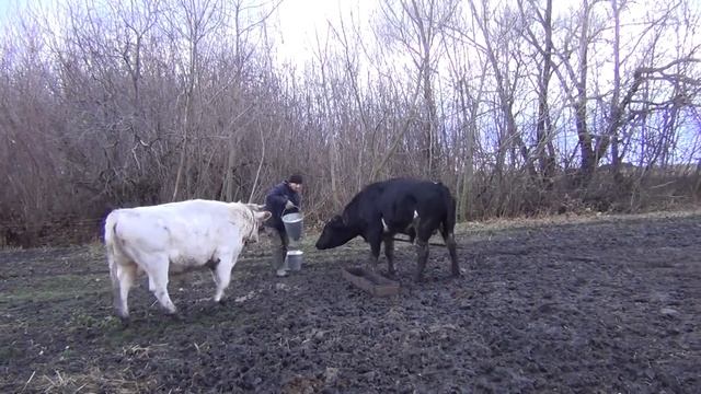 ЛУЧШЕ ПОЗДНО ЧЕМ НИКОГДА смотреть онлайн