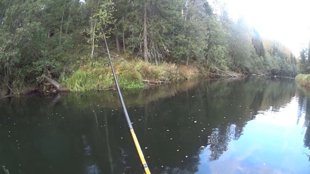Рыбалка на любимой речке