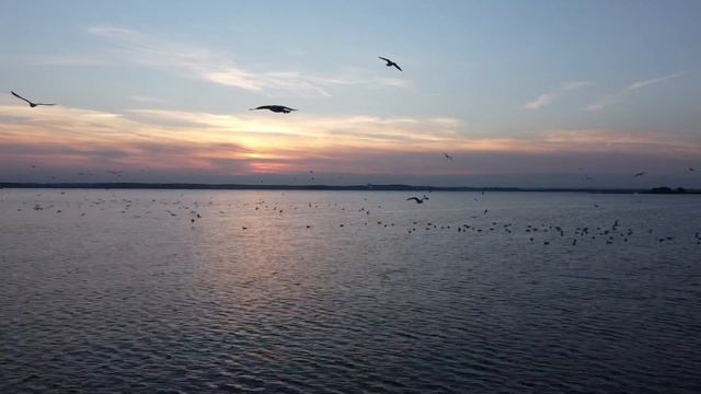 DJI Mini SE | Minsk Sea смотреть онлайн