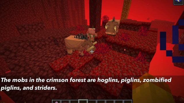 How To Find Nether Biomes In Minecraft 1.16 смотреть онлайн