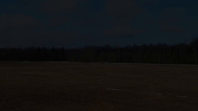 Журавли гуляют, танцуют и летают | Sookured jalutavad, tantsivad ja lendavad смотреть онлайн