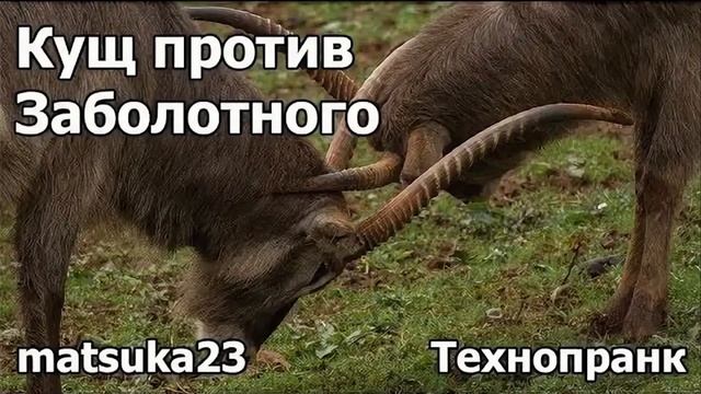 Кущ против Заболотного | Технопранк от Matsuka23 смотреть онлайн