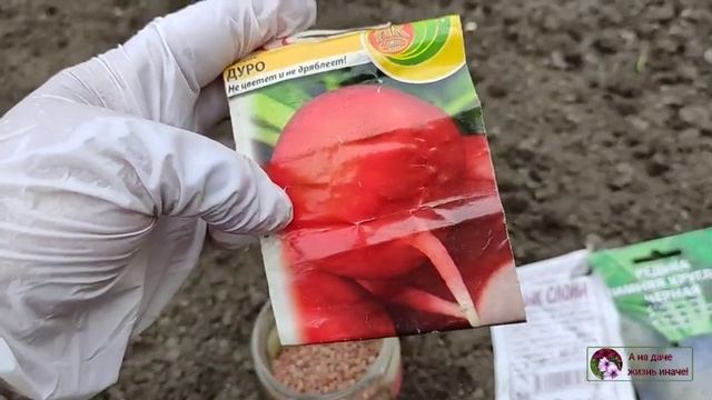 Время сеять редьку, редис. смотреть онлайн