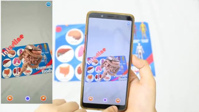 The Human Body | Augmented Reality Jigsaw Puzzle for Kids - 35 Pieces смотреть онлайн