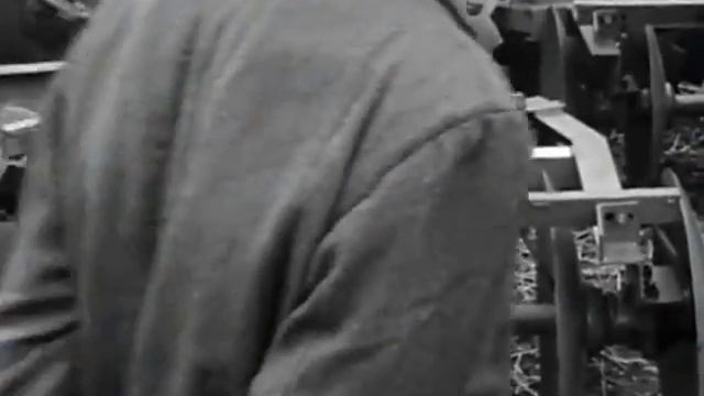 Houari Boumediene's Domestic Policy In Algeria (1972)