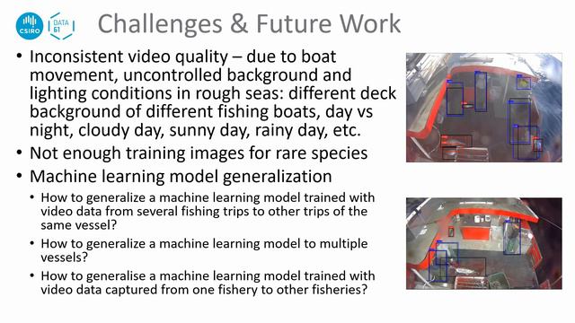 FAO AI4DBP AI Based Video Analysis for Automated Catch Monitoring in Fisheries смотреть онлайн