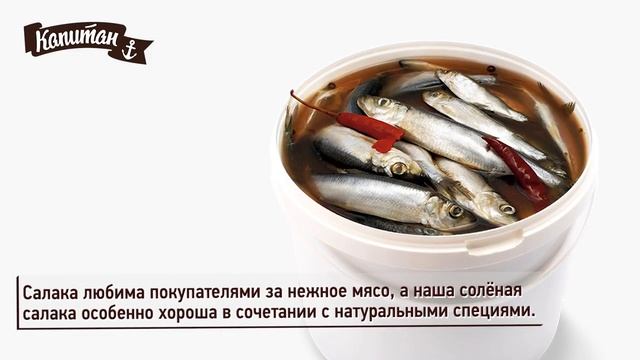 Солёная рыба Капитан