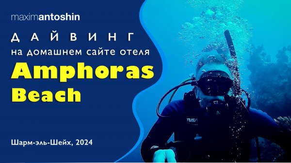 Дайвинг на домашнем сайте отеля "Amphoras Beach". Шарм-эль-Шейх, 2024