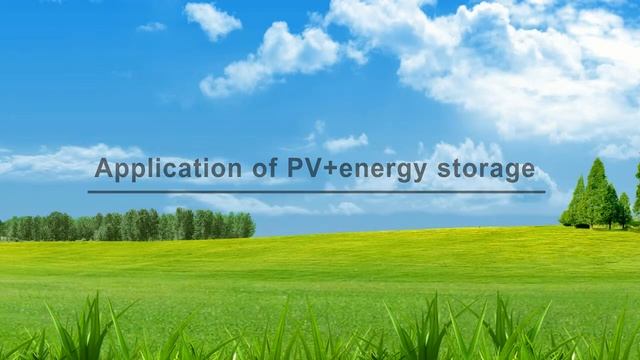 On/Off Gird REVO-II Energy Storage Inverter With Touch Screen