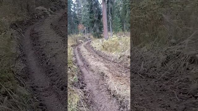 Эндуро покатушки .Подьем в гору дядька записывал видео для жены я в кадр попал ??? #Эндуро#Алтай смотреть онлайн