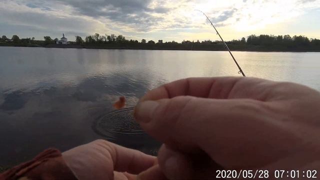 2020 05 28 Фидер на Волге в Угличе Он мой кончик фидера шатал смотреть онлайн