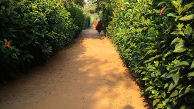 Медитационый центр в Шри-Ланке