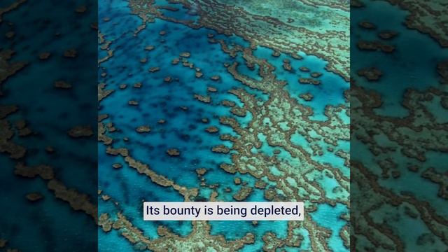 WORLD OCEANS DAY смотреть онлайн