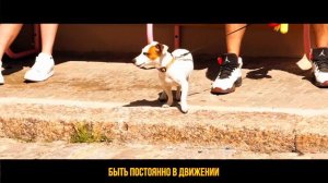 Короткометражный фильм «Желание»