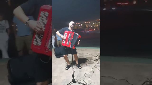 терминатор кавер на баяне смотреть онлайн