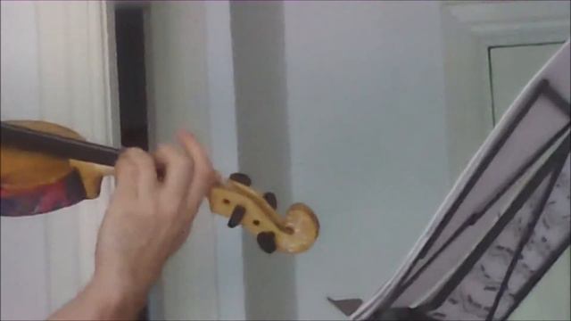 Violin-gudok 4/4 (Test 450