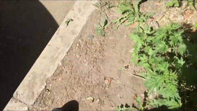 Summer Stickerbombing In Krasnoyarsk **part 2**