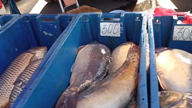 В Таганроге идеальные цены.Карп от 150 рублей. В Донецке он от 402 рублей смотреть онлайн