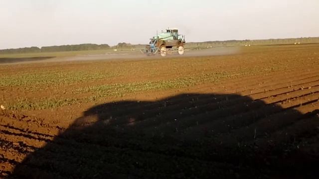 Опрыскивание маркови смотреть онлайн