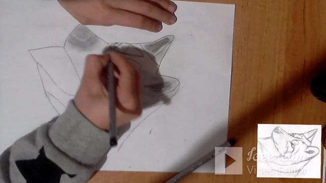Рисую волка карандашом смотреть онлайн