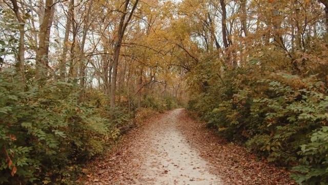 Осенняя природа - видео релакс  и медитативная музыка.-Autumn Nature And Meditative Music.
