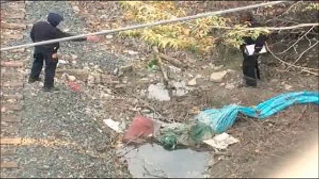 CLA TEST 2 HOMICIDE смотреть онлайн