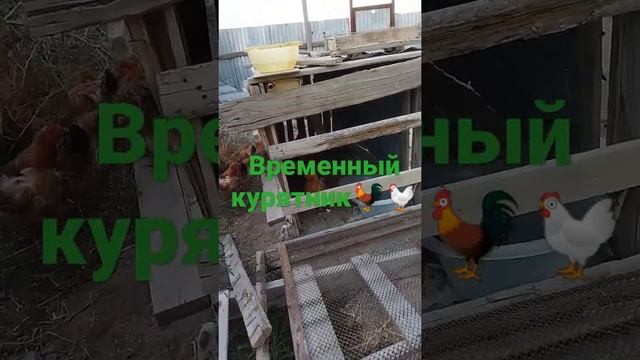 Курятник на лето