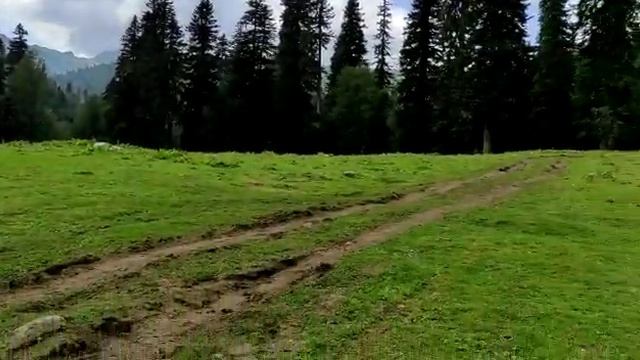 Альпийские луга Абхазия смотреть онлайн